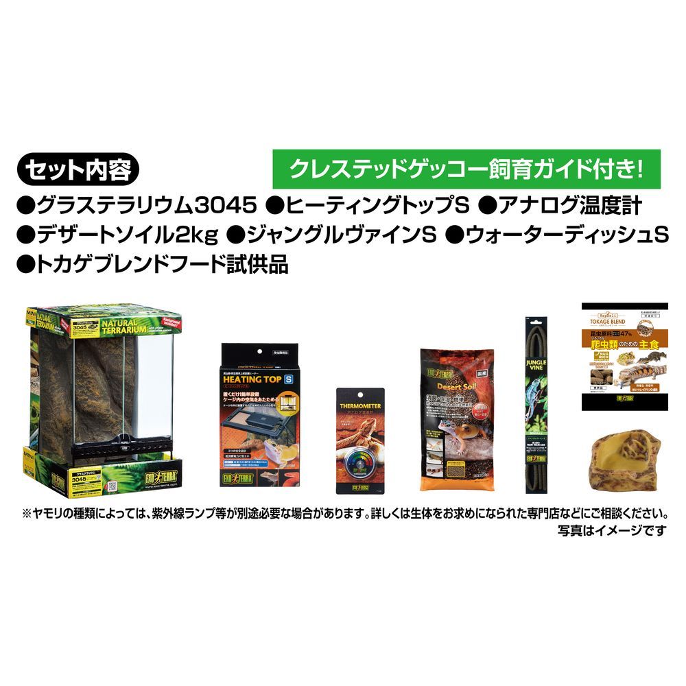 エキゾテラ