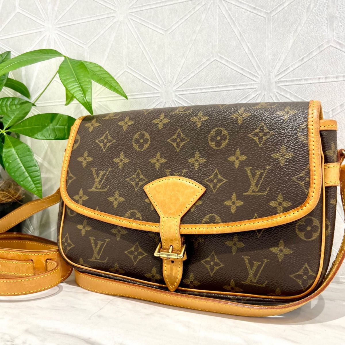廃番モデル】LOUIS VUITTON ルイ・ヴィトン モノグラム ソローニュ