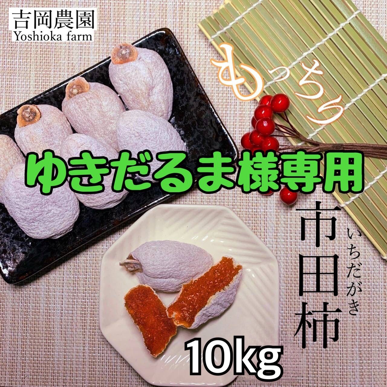 ゆきだるま様専用〈もっちり市田柿 10kg〉 - cecati92.edu.mx