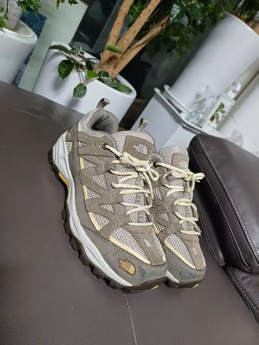 THE NORTH FACE ザノースフェイス 登山 スニーカー 250 255