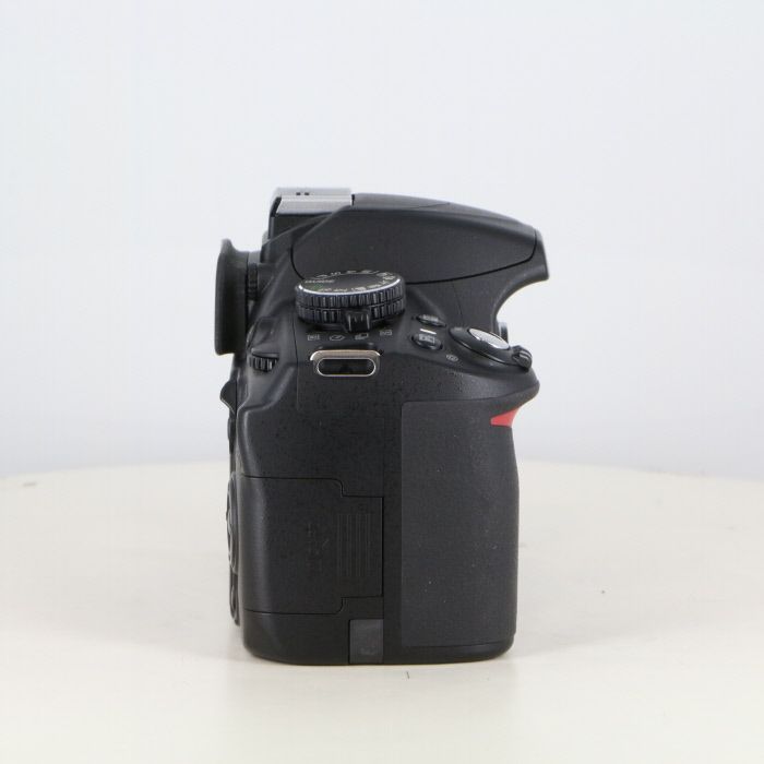 D3100