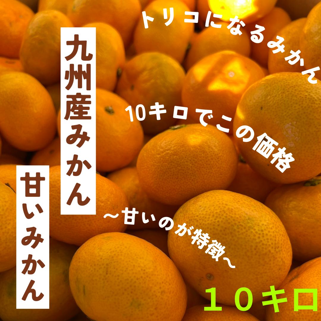 甘いのが特徴です。】九州産 みかん 10kg『甘いです』 九州産地&品種