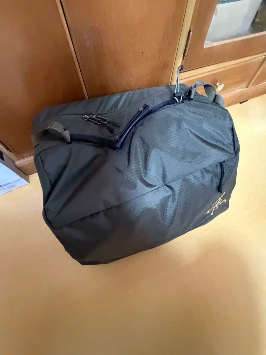 ARC TERYX アークテリクス イオン ギア オーガナイザー タツ