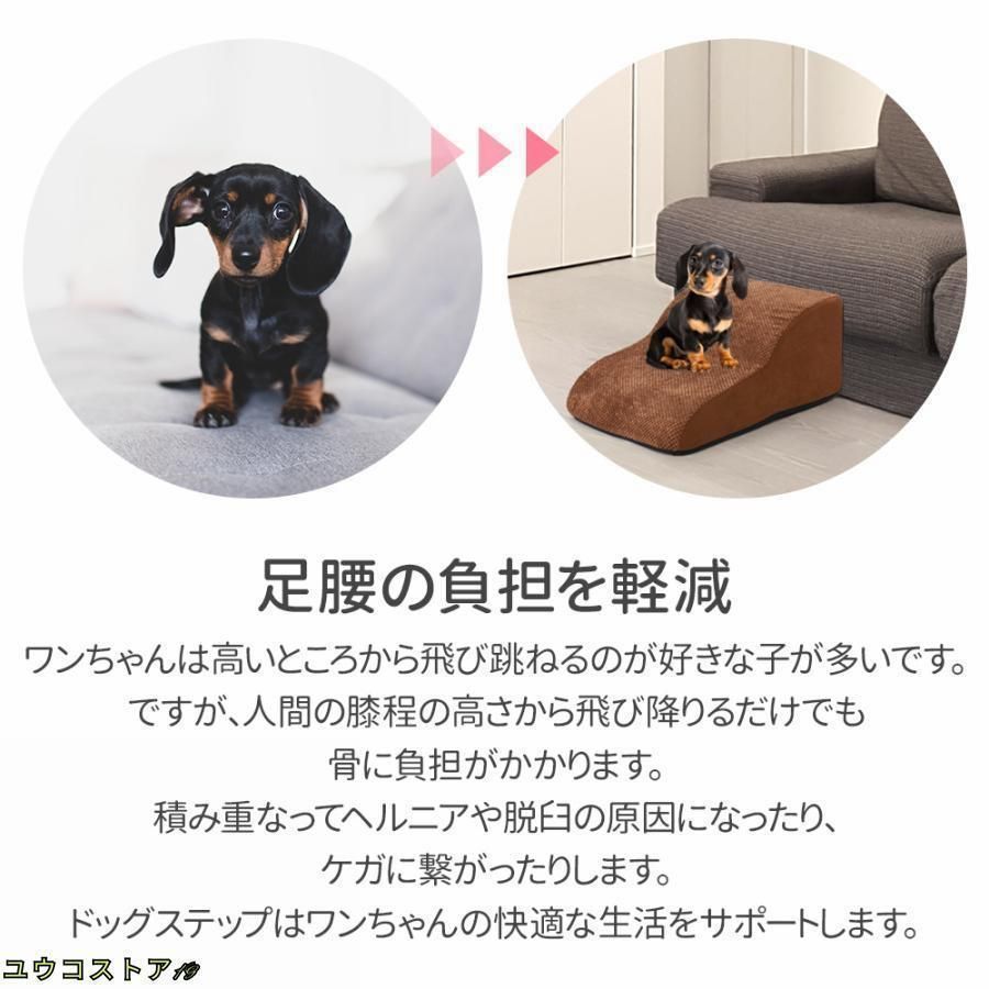 ドッグステップ 犬