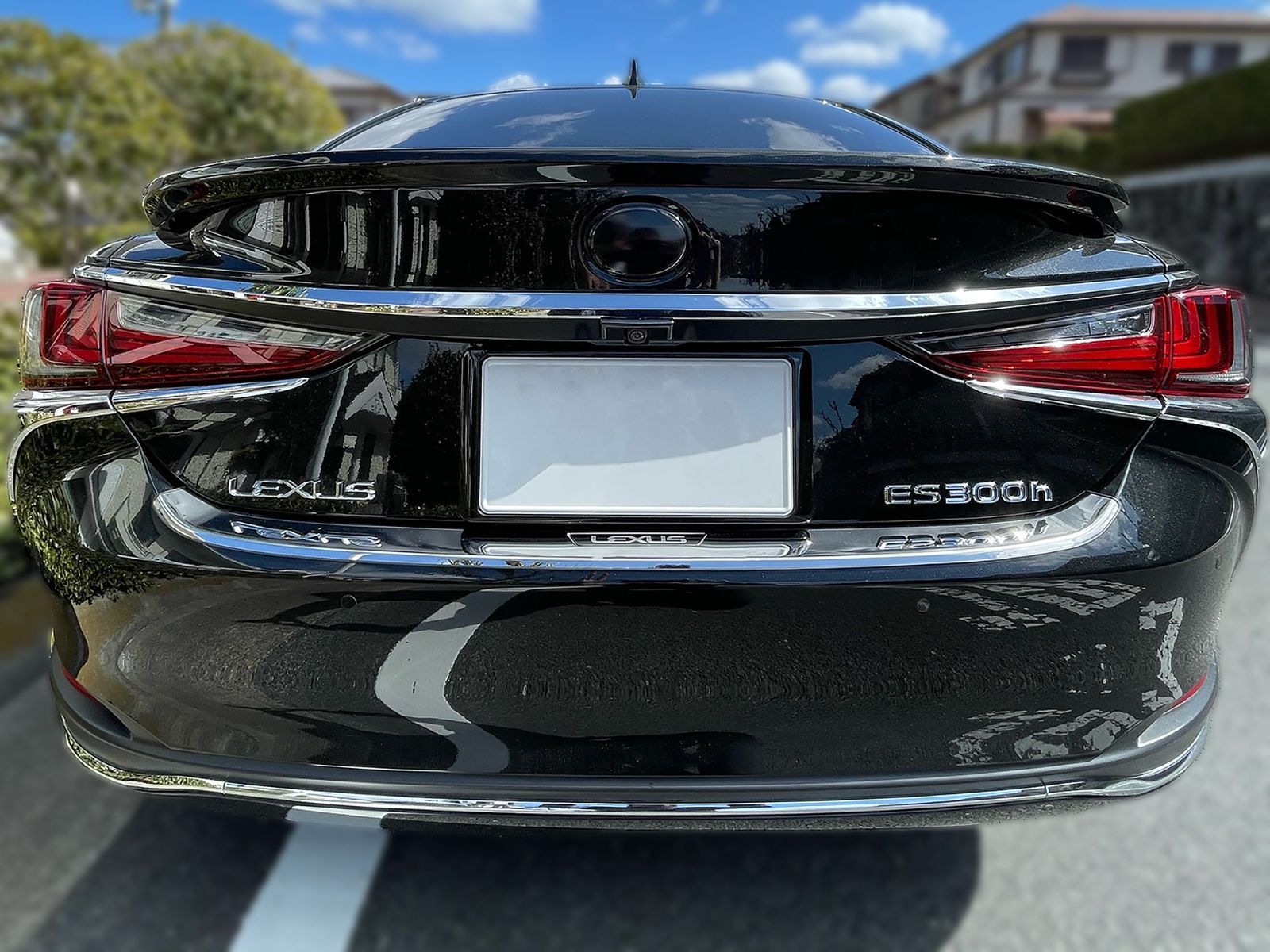 Tint+何度も貼れる エンブレム スモークフィルム(ブラックスモーク5