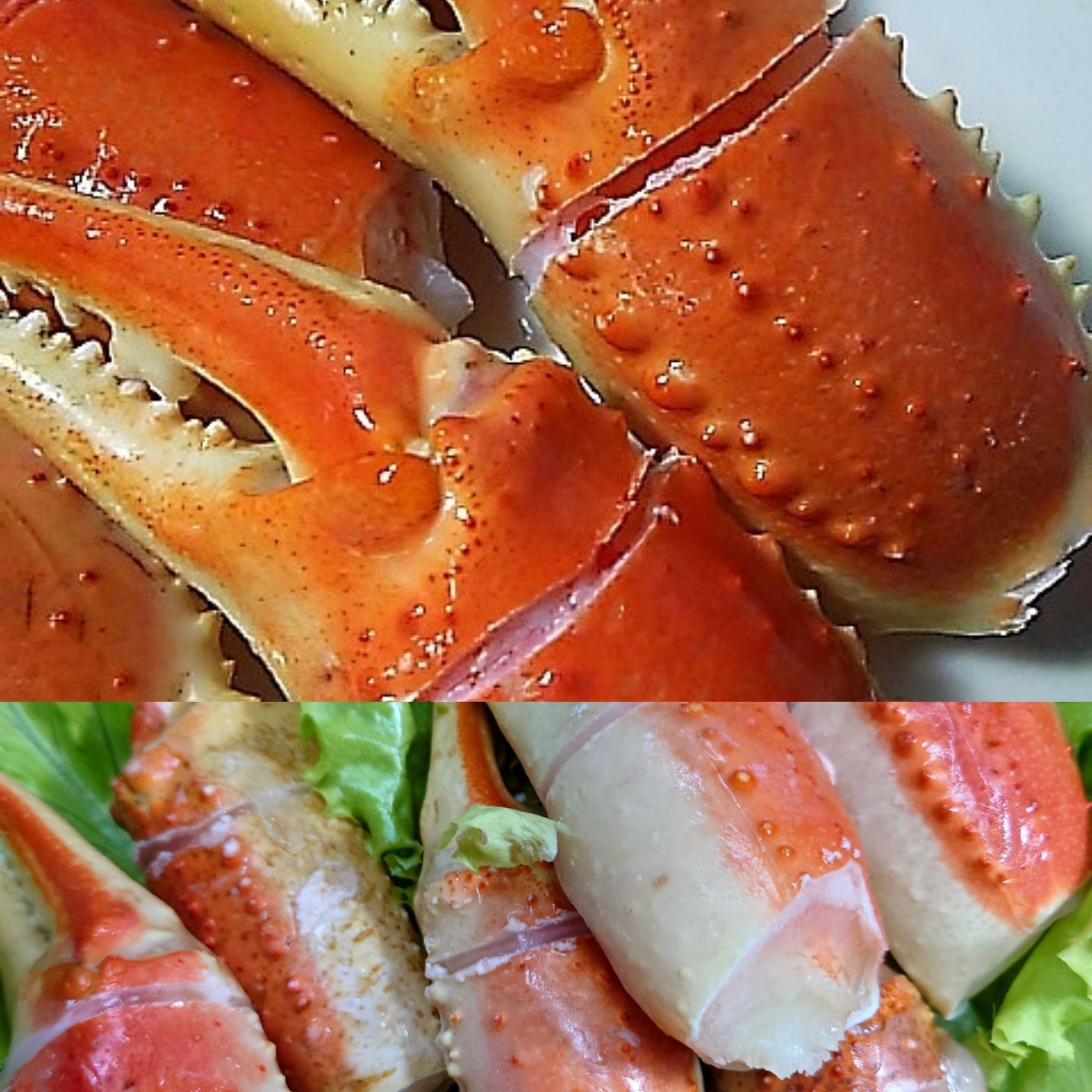 花の契約】椎名ニキ缶バッジ 48個セット 花の契約】椎名ニキ缶バッジ