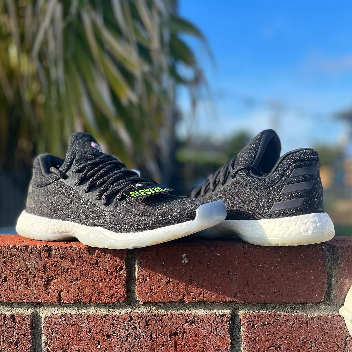 Harden vol 1 ls on sale nightlife