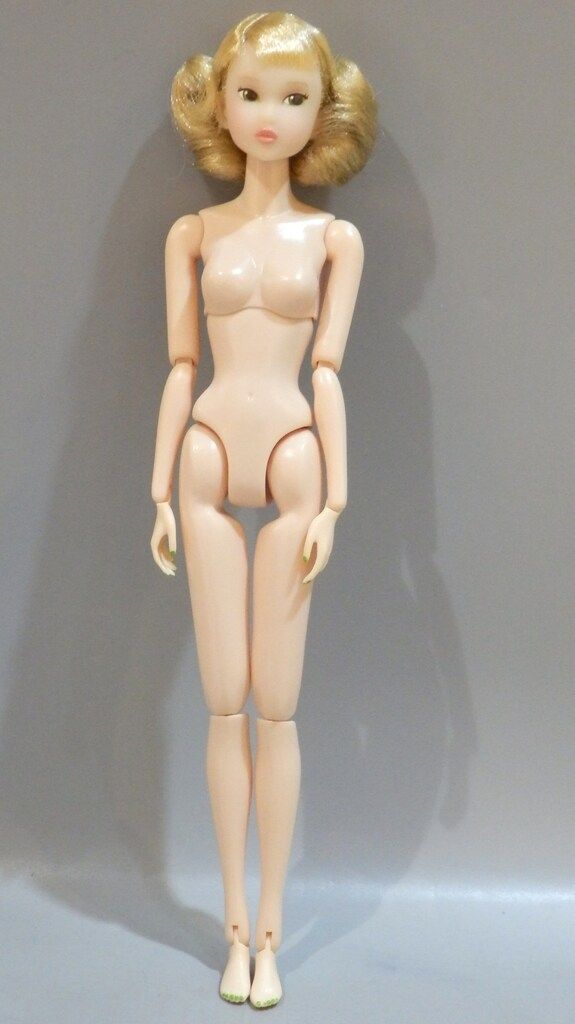 ペットワークス CCS-momoko 14AN PK