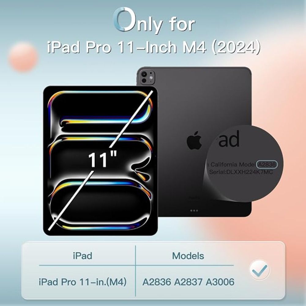 iPad Pro