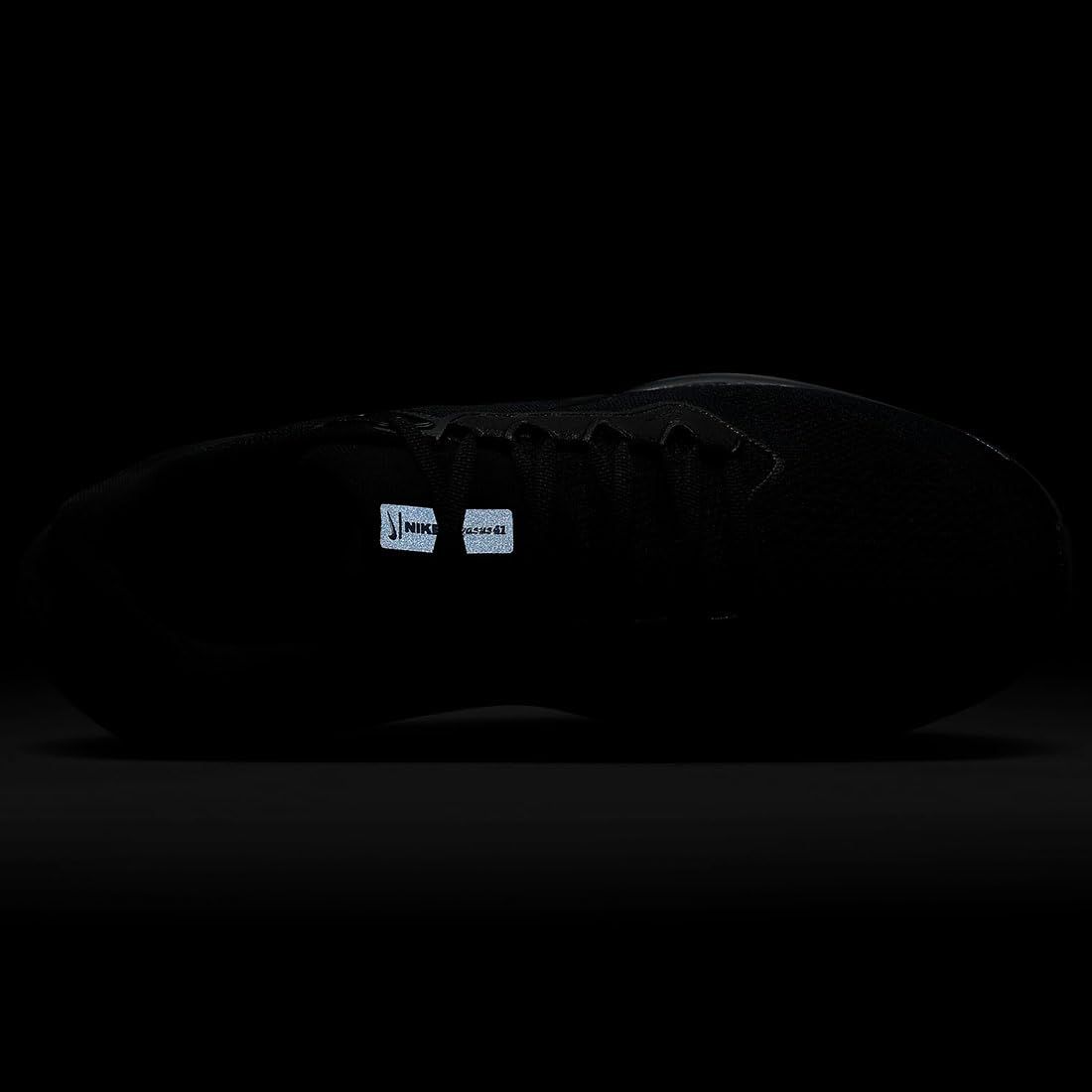 ナイキ ペガサス