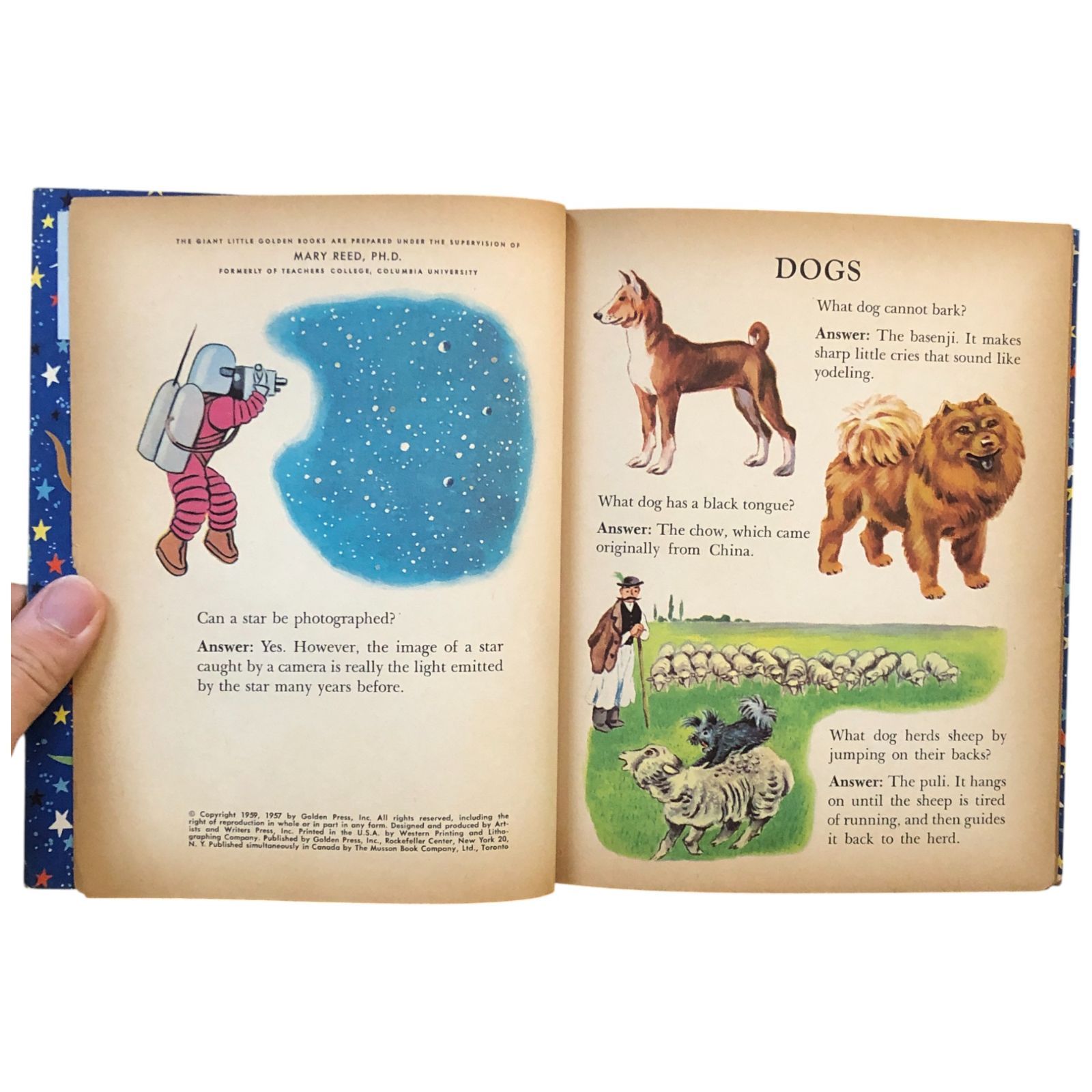 Quiz Fun: Hundreds of Questions a Horace Elmo, Nancy