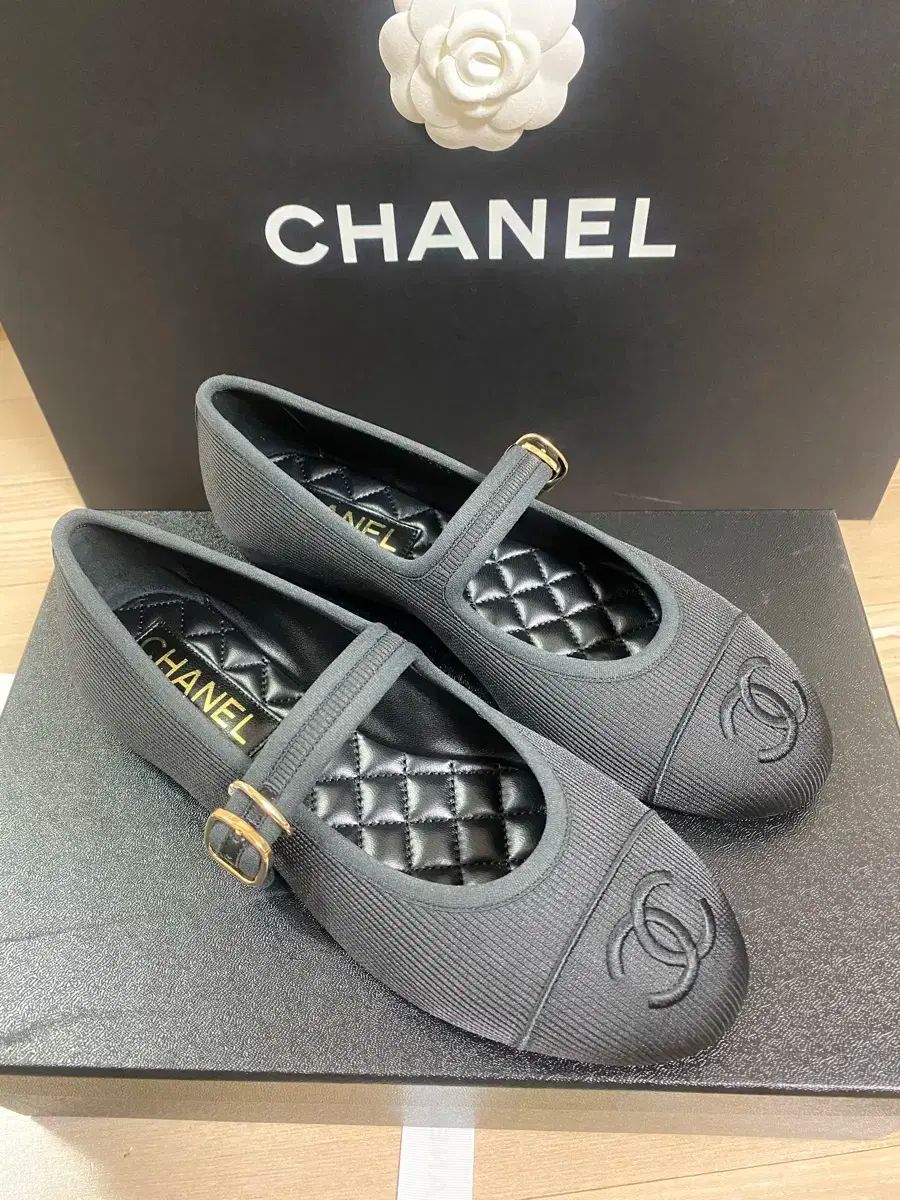 CHANEL シャネル 24SS コットン シルク MARY JANE メリージェーン CC ロゴ フラット シューズ 黒 G45503