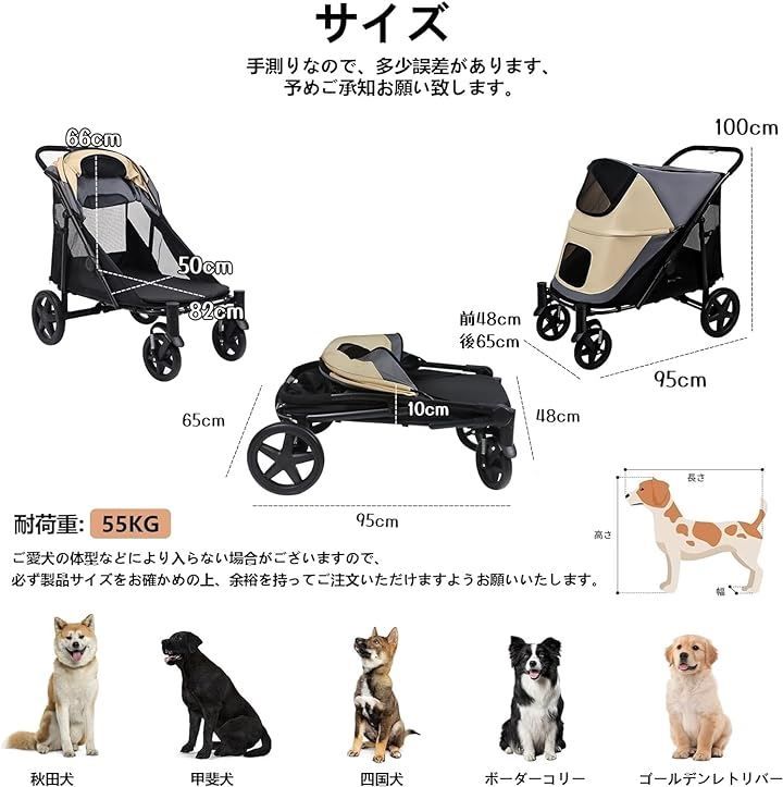 バギー
