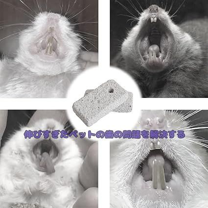 カバネルsilver925 ピンブローチPC010　チンチラ　ネコ ✿*𝗖𝗢𝗖𝗢 𝗖𝗛𝗔𝗡𝗘𝗟*✿ペルシャ猫 チンチラシルバー