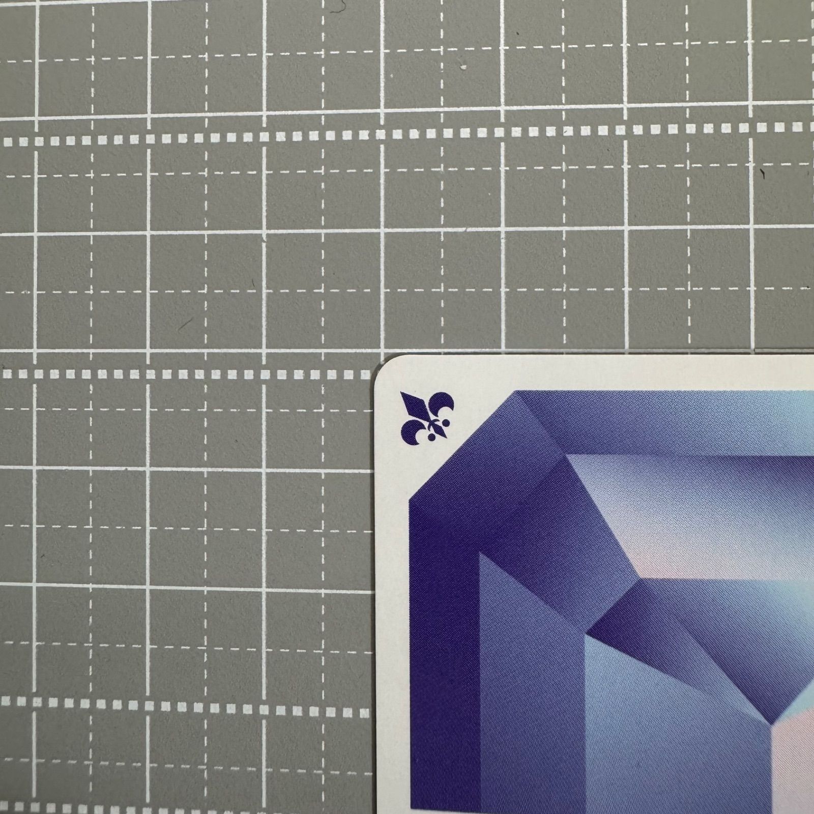 ヴァイスシュヴァルツブラウ 家庭教師ヒットマンREBORN ボンゴレ