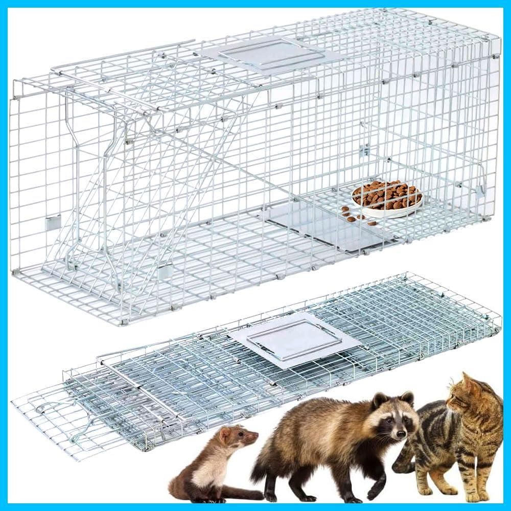 保護猫活動を続けるために継続的な寄付をお願いします | 野良猫もみな家族だよ, image size:1000x1000