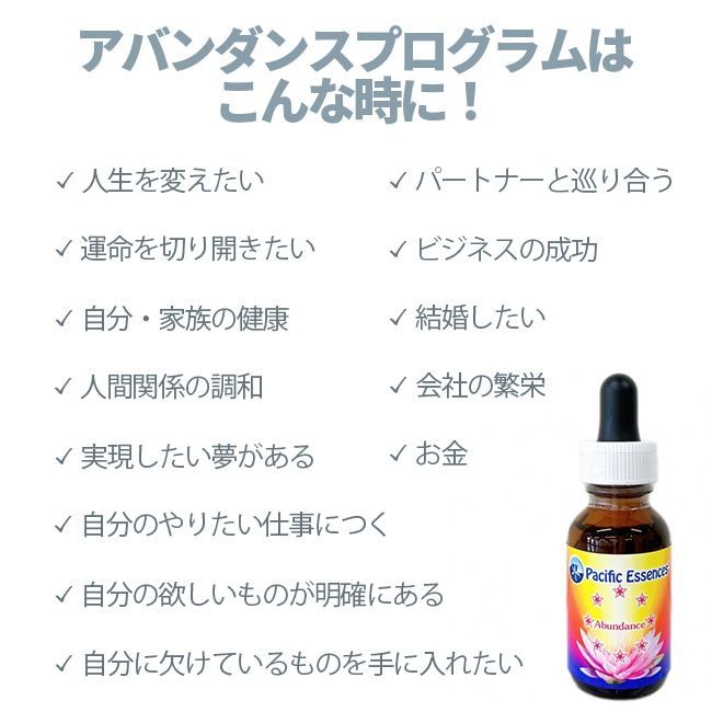 期間 特典付 アバンダンスプログラムセット