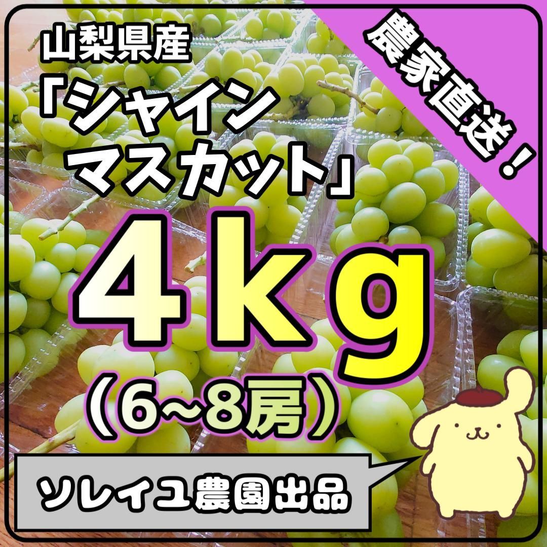 🌞朝採れ農家直送🌞 シャインマスカット 山梨県産 4kg 6～8房