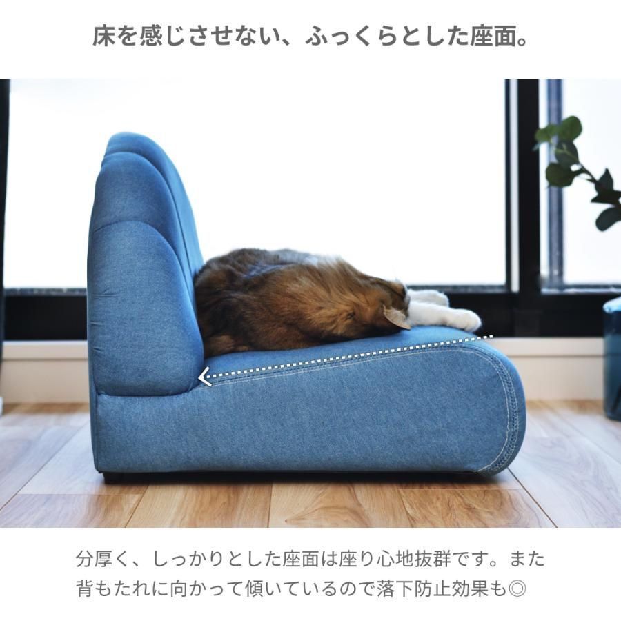 ソファ 犬