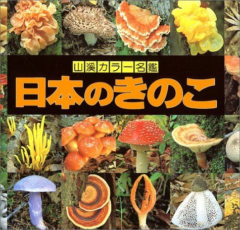 日本のきのこ (山渓カラー名鑑)