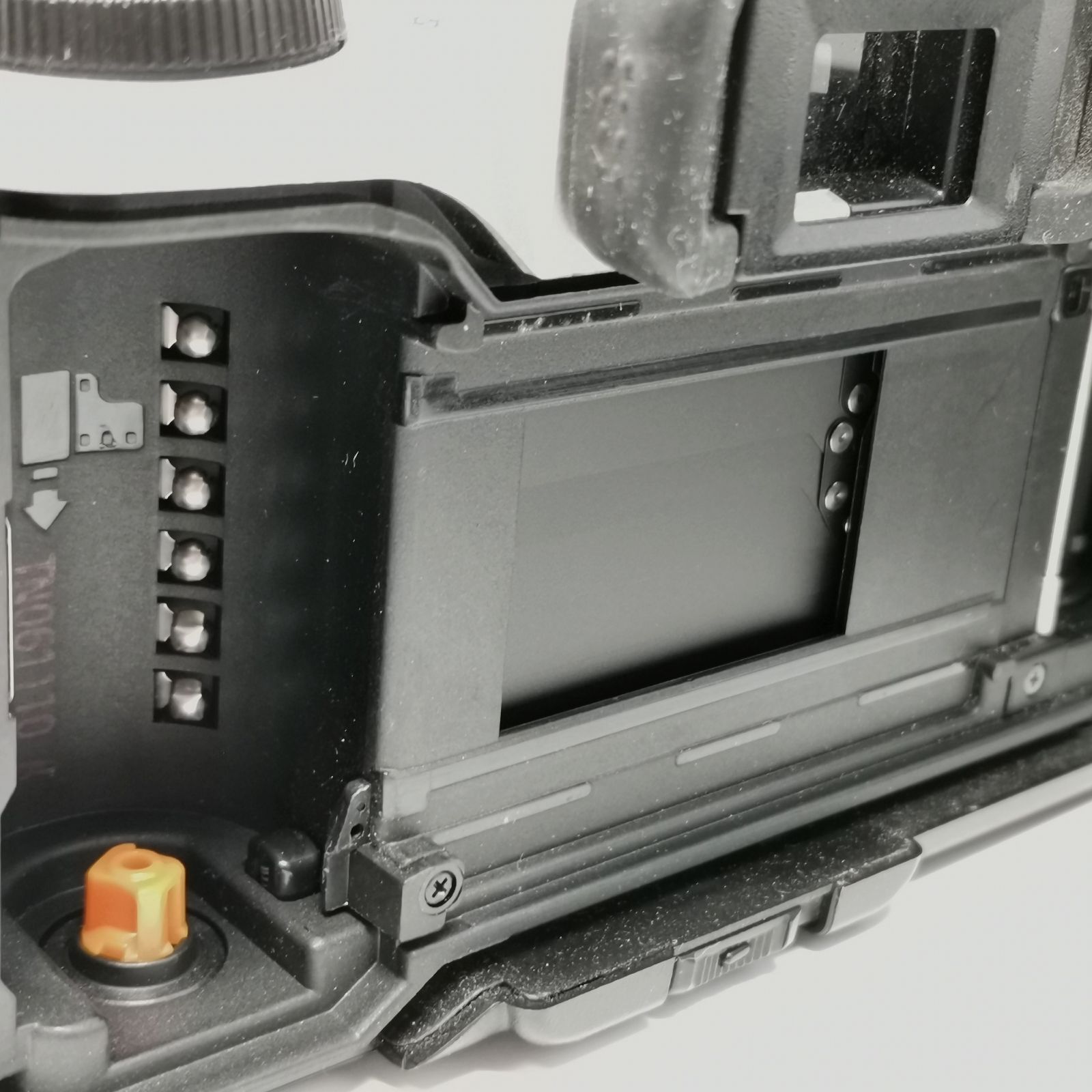 フィルムカメラ