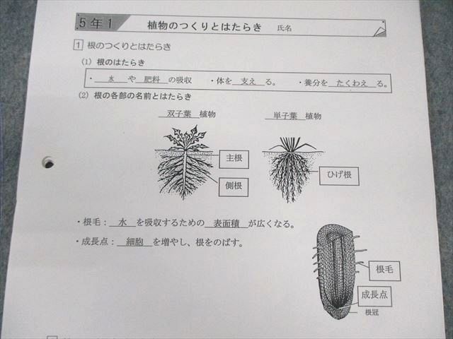馬渕教室 小5 理科 復習テスト 【計54回分】 045M2D 馬渕教室 小5 理科 復習テスト 【計54回分】 045M2D - メルカリ