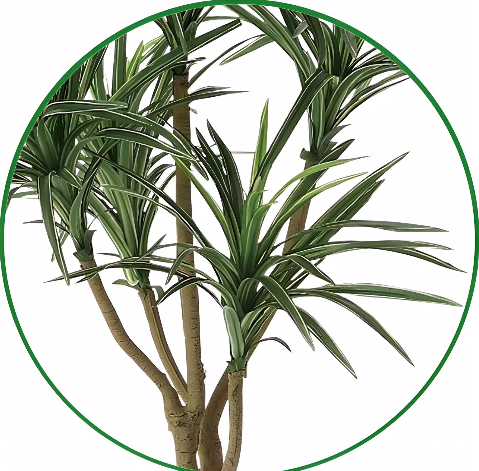 光触媒 人工観葉植物 ウォールグリーン ベスト フェイクグリーン