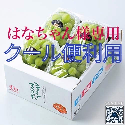 はなちゃん様専用 岡山県産 赤秀シャインマスカット晴王 約2kg 3 はなちゃん様専用 岡山県産 赤秀シャインマスカット晴王 約2kg 3
