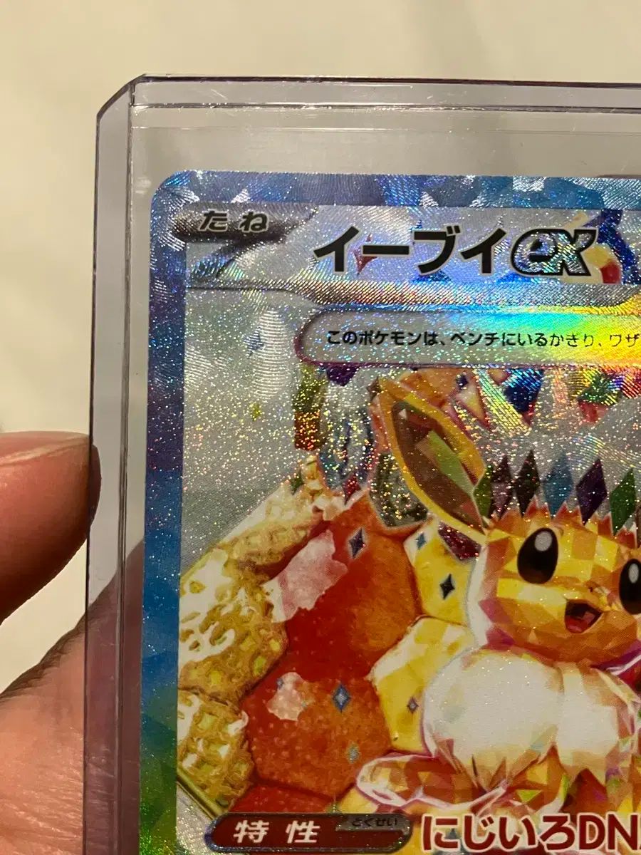 イーブイex SAR Eevee テラスタルフェス 224/187 psa10 2024 イーブイ