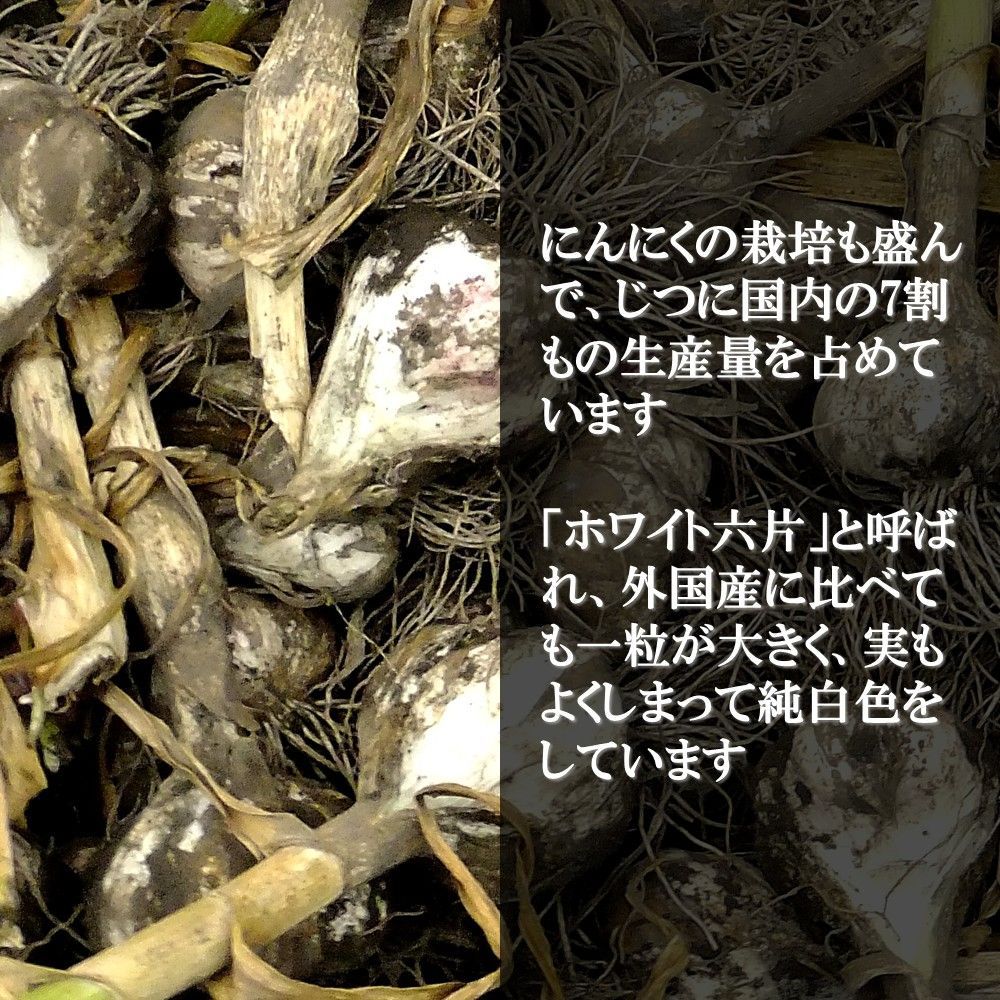 産地直送 ポリフェノール豊富
