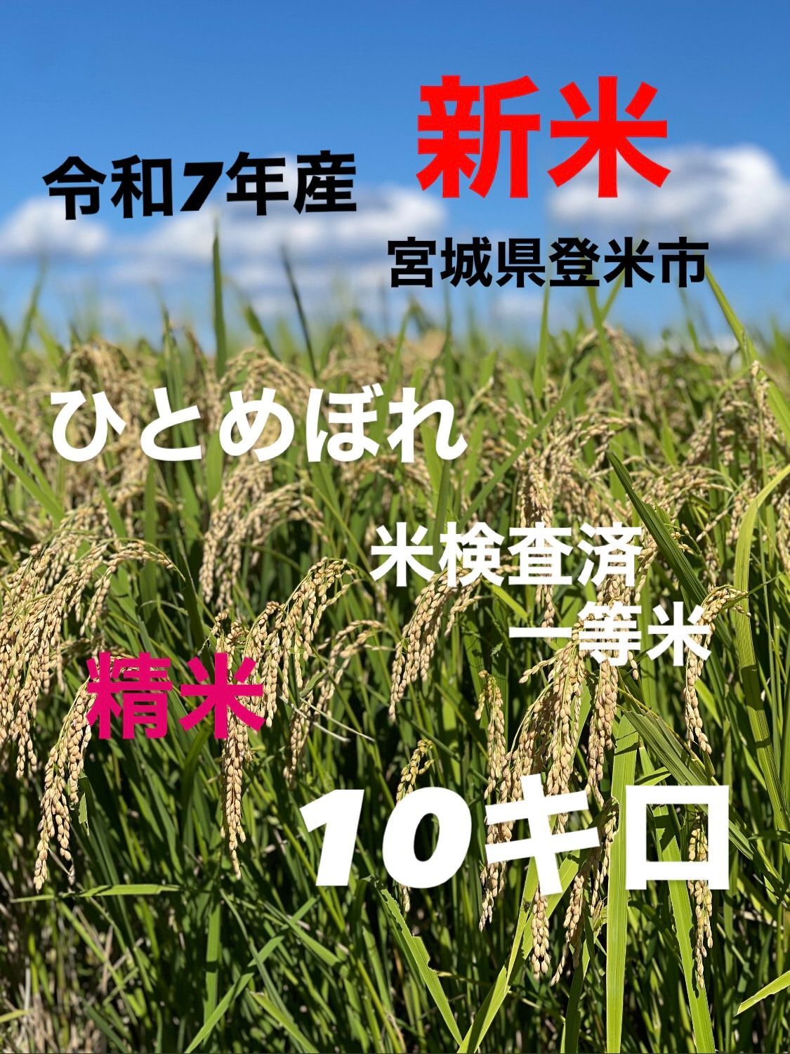 新米 令和7年産 ひとめぼれ 精米 一等米 10キロ 宮城県登米市