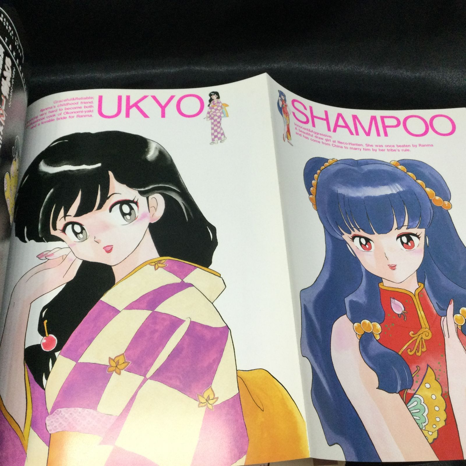 mm 様　専用　15冊セット　少年サンデーグラフィック ☆ らんま1⁄2メモリアル・ブック (少年サンデーグラフィック) 初版 帯