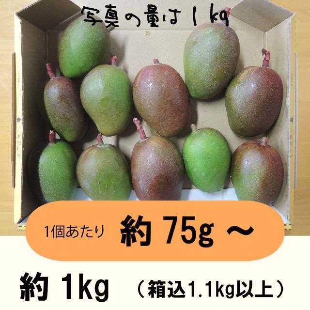 橙1kg】 グリーンマンゴー 青マンゴー 摘果マンゴー 約1 kg - 倉重農園