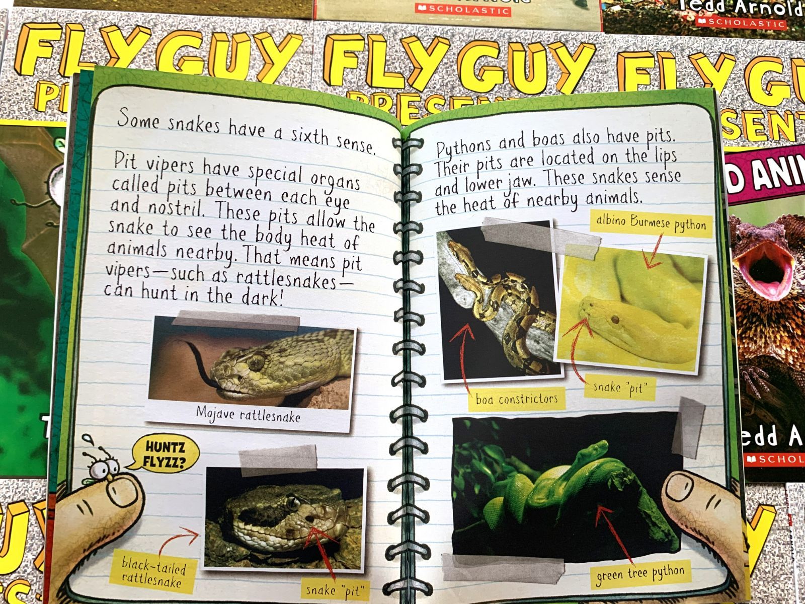 マイヤペン対応版絵本　fly guy captain un derpants マイヤペン対応版絵本 fly guy captain un derpants マイヤペン対応版