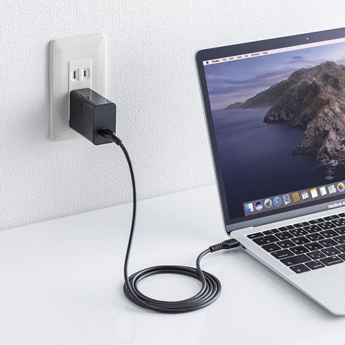 【赤字超特価,定番】 サンワサプライ USB PD対応AC充電器(PD45W・TypeCケーブル付き) ACA-PD80BK