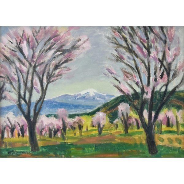 渡辺啓輔 「桜の里」 風景画 油彩 8号 絵画 風景画 美術 アート