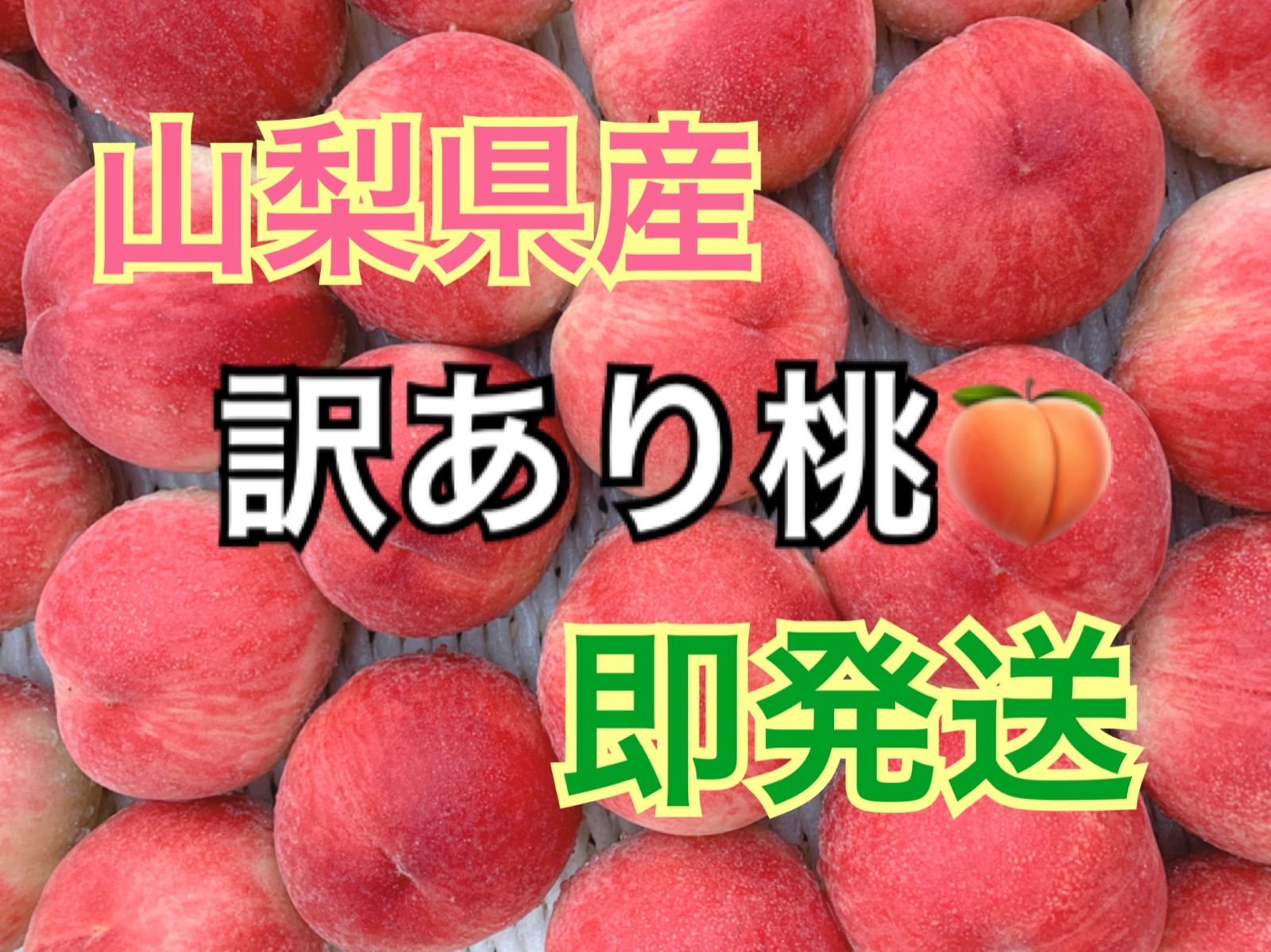 ⑩本日収穫！山形県産　晩生の桃『さくら白桃』加工推奨品!!5キロ箱詰め