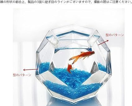 アクリル水槽、ぎんちゃん、 TRENIE 透明アクリル製金魚水槽セット 底面フィルター。メダカ