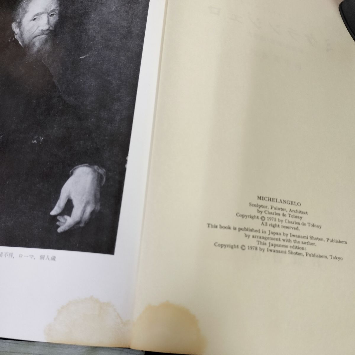 ミケランジェロ 彫刻家・画家・建築家 シャルル・ド・トルナイ著