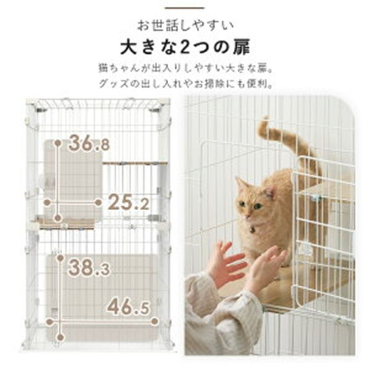 キャットハウス ステップ