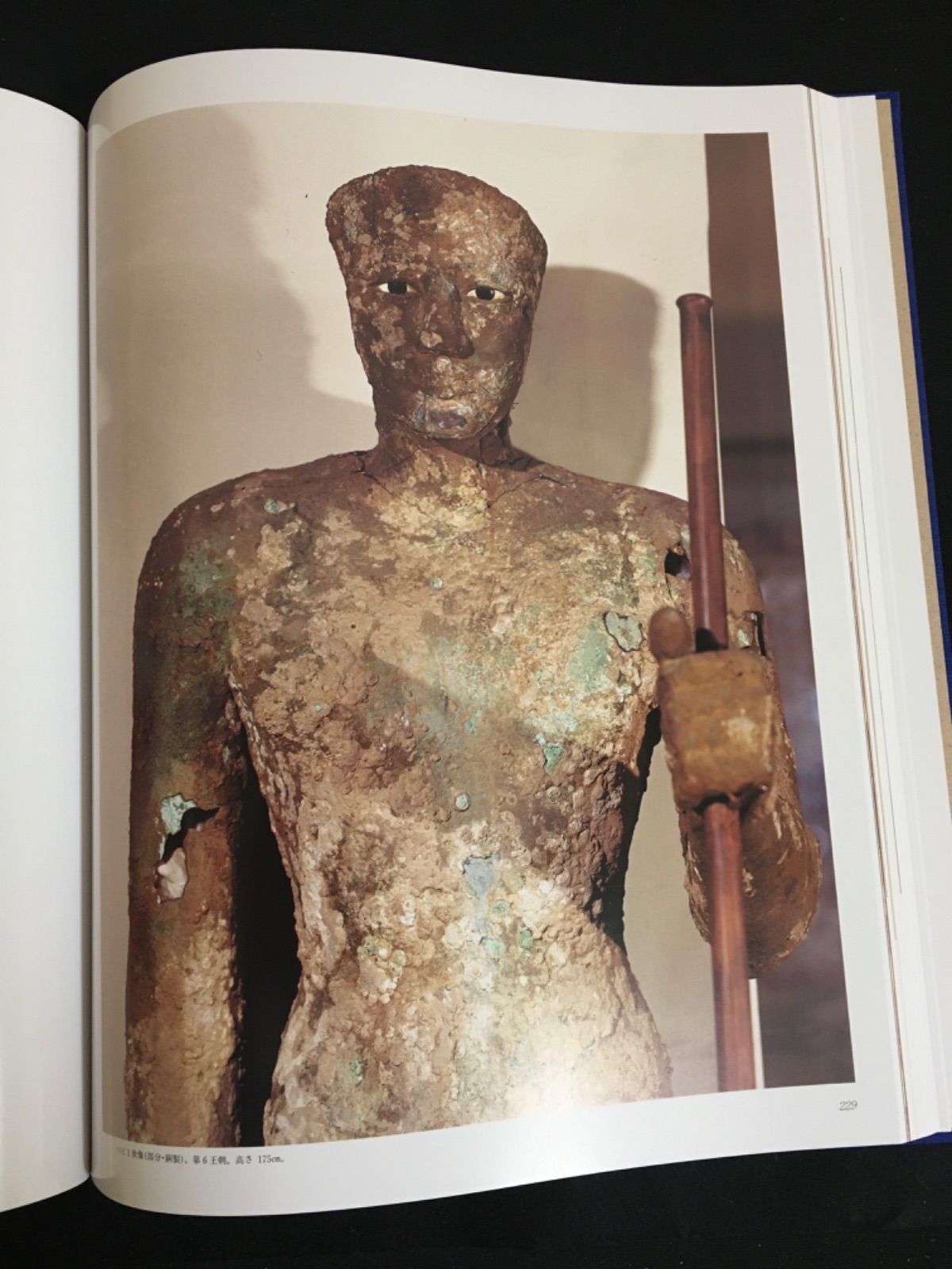 EGYPT 古代人たち・ナイルの真珠 全2冊 - メルカリ