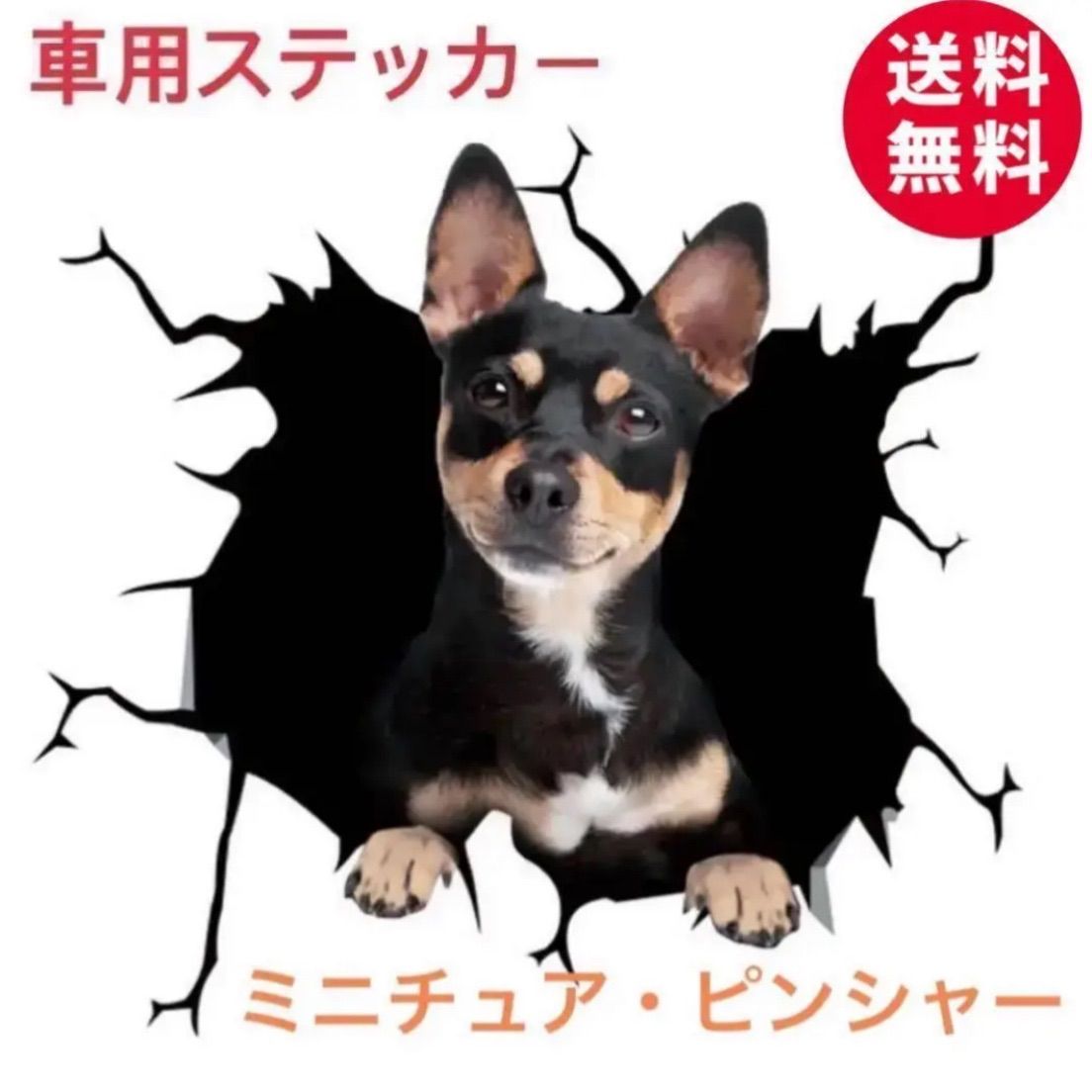 可愛いワンちゃんステッカー♪こわ可愛い3Dシール カー用品 ブサ可愛犬