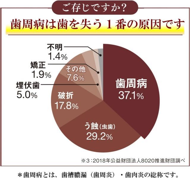 歯磨き粉 生薬
