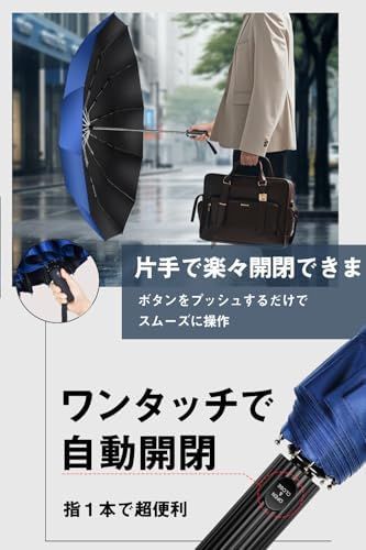 12本骨 折りたたみ傘
