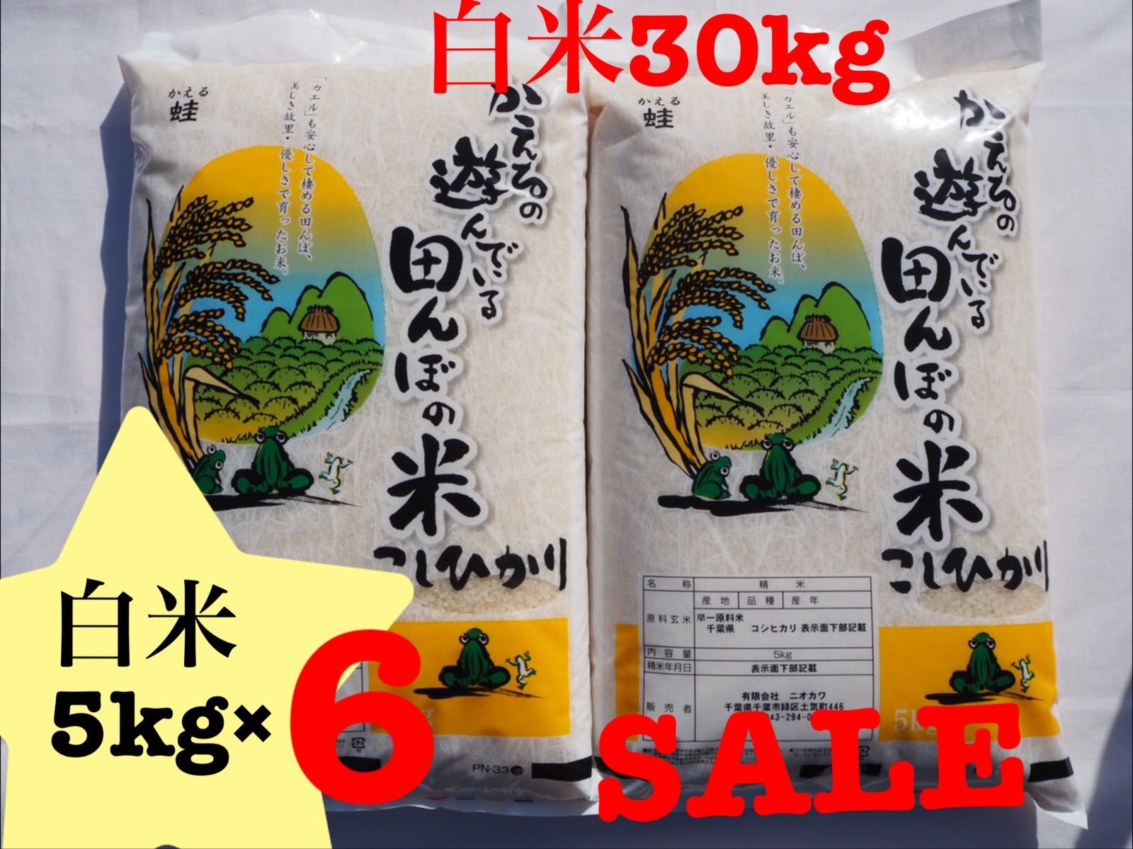 コシヒカリ 千葉県産 白米30kg 5kg×6 30キロ