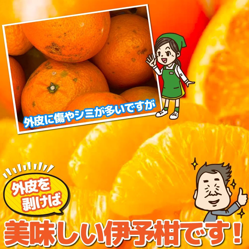 のサムネイル