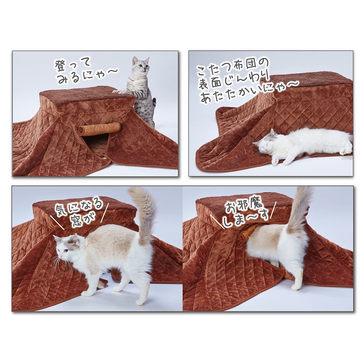 ブラウン