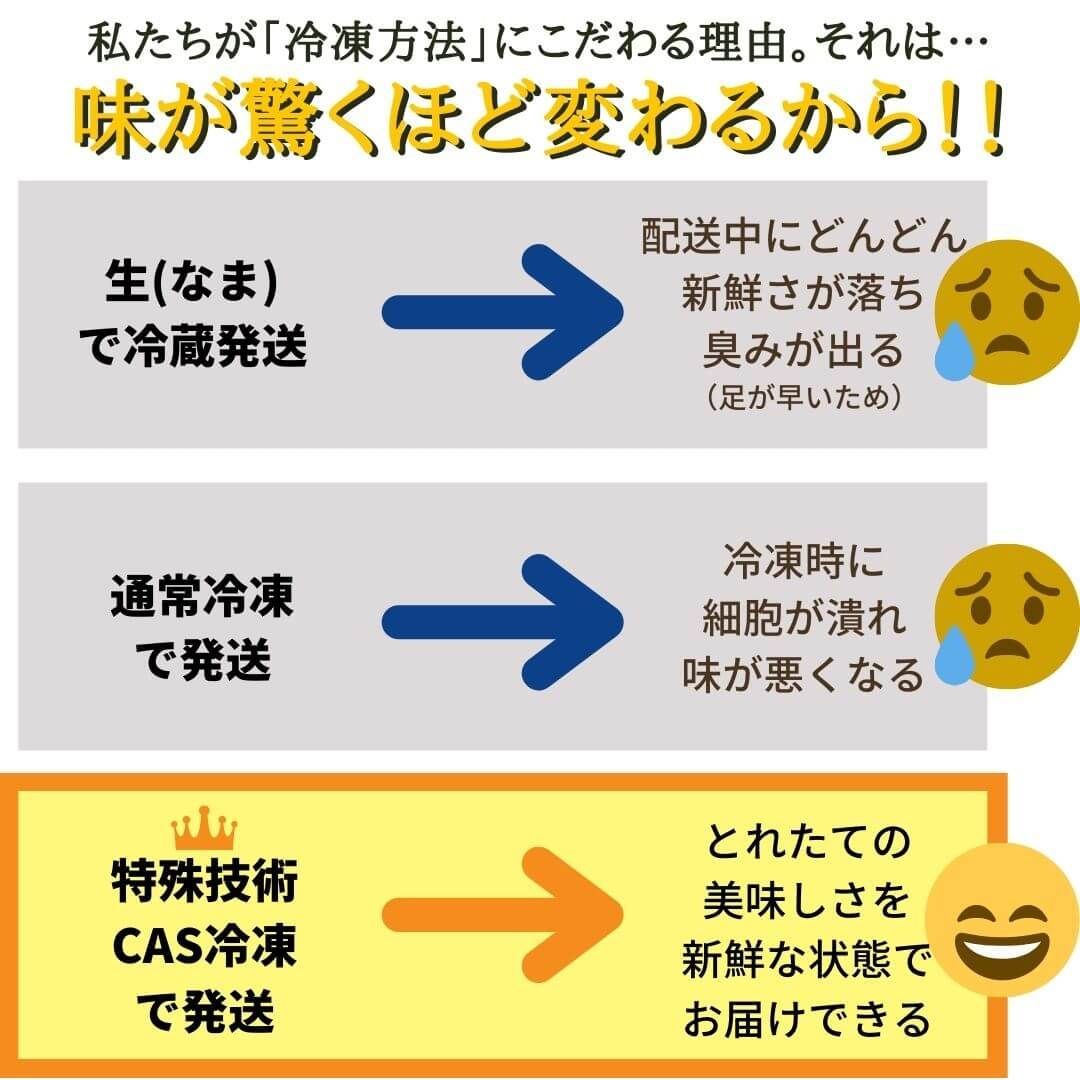 サイズおまかせ・国産生サザエ3kg（海鮮BBQバーベキューに）新鮮！冷凍 さざえの壺焼き