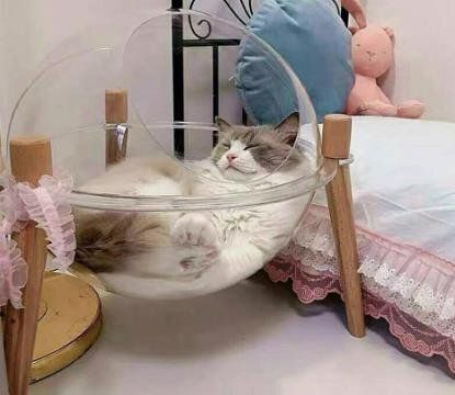 高品質 オールシーズン対応の透明な キャットタワー 猫 キャットウォーク キャットステップ ベッド ハウス 天然木