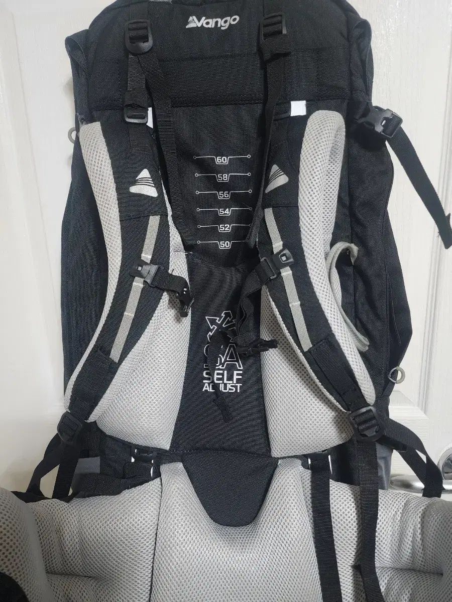 半ゴーシェルパ